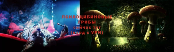ПСИЛОЦИБИНОВЫЕ ГРИБЫ Алексин