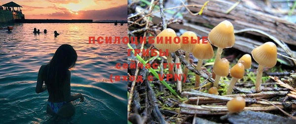 ГАЛЛЮЦИНОГЕННЫЕ ГРИБЫ Алзамай